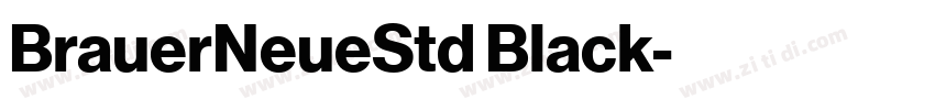 BrauerNeueStd Black字体转换